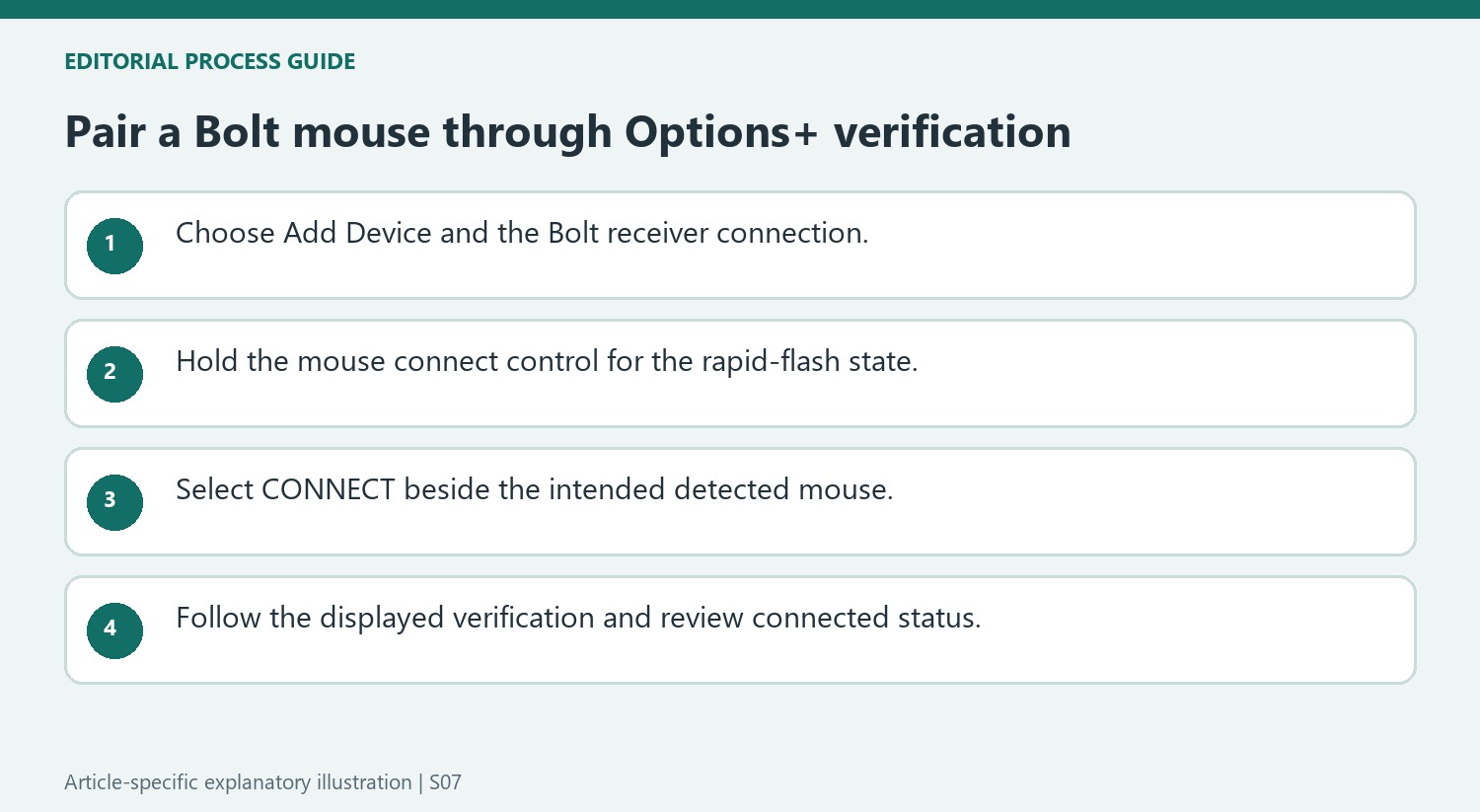 Pair a Bolt mouse through Options+ verification